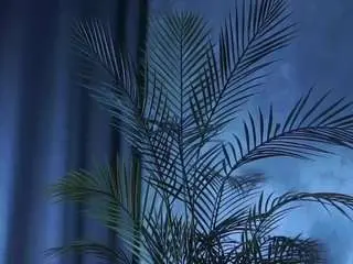 Maureenagard  live sex cam