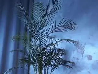 Maureenagard  live sex cam