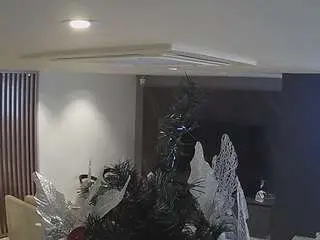 Voyeurcam-casa-salsa-kitchen  live sex cam