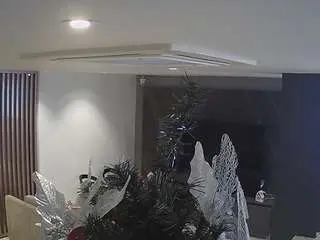 Voyeurcam-casa-salsa-kitchen  live sex cam