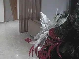 Voyeurcam-casa-salsa-kitchen  live sex cam