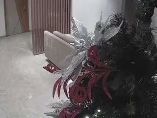 Voyeurcam-casa-salsa-kitchen  live sex cam