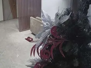 Voyeurcam-casa-salsa-kitchen  live sex cam