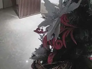 Voyeurcam-casa-salsa-kitchen  live sex cam