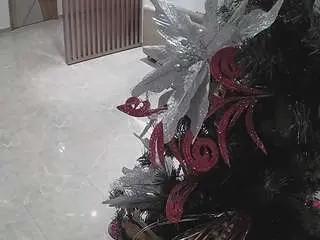 Voyeurcam-casa-salsa-kitchen  live sex cam