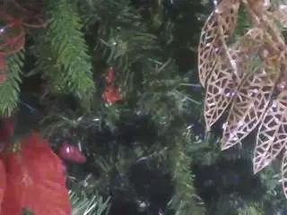 Voyeurcam-casa-salsa-kitchen  live sex cam