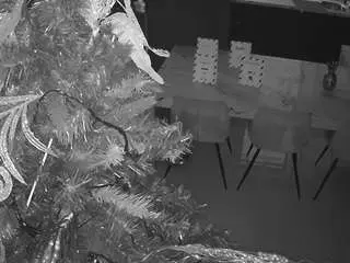 Voyeurcam-casa-salsa-kitchen  live sex cam