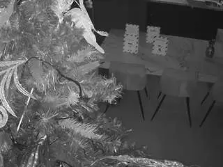 Voyeurcam-casa-salsa-kitchen  live sex cam