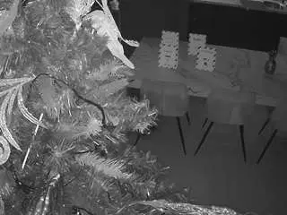 Voyeurcam-casa-salsa-kitchen  live sex cam