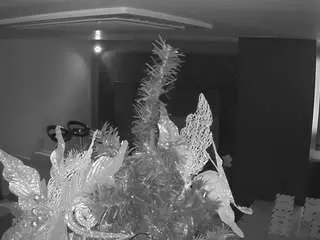 Voyeurcam-casa-salsa-kitchen  live sex cam