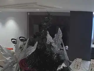 Voyeurcam-casa-salsa-kitchen  live sex cam