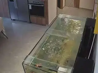 Voyeurcam-casa-salsa-kitchen  live sex cam