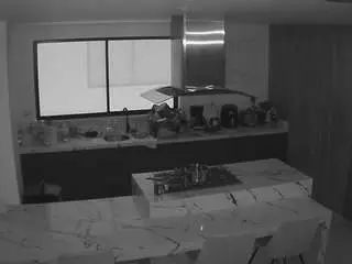 Voyeurcam-casa-salsa-kitchen  live sex cam