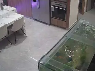 Voyeurcam-casa-salsa-kitchen  live sex cam