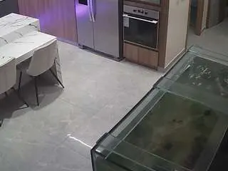Voyeurcam-casa-salsa-kitchen  live sex cam