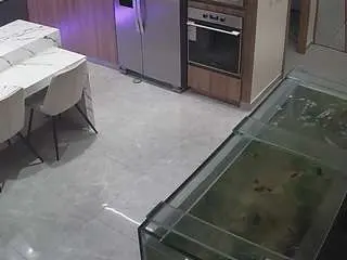 Voyeurcam-casa-salsa-kitchen  live sex cam