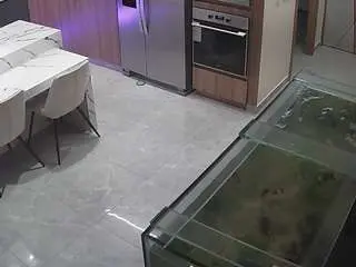 Voyeurcam-casa-salsa-kitchen  live sex cam