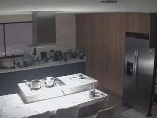 Voyeurcam-casa-salsa-kitchen  live sex cam