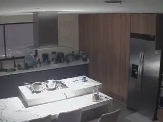 Voyeurcam-casa-salsa-kitchen  live sex cam