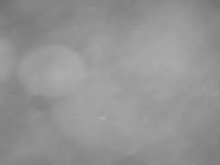 Voyeurcam-casa-salsa-pool-1  live sex cam