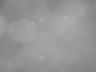 Voyeurcam-casa-salsa-pool-1  live sex cam