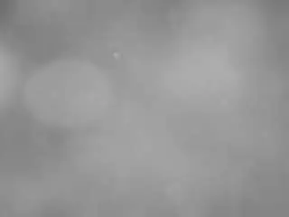 Voyeurcam-casa-salsa-pool-1  live sex cam