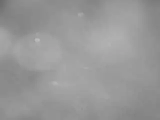 Voyeurcam-casa-salsa-pool-1  live sex cam