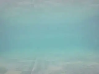 Voyeurcam-casa-salsa-pool-1  live sex cam