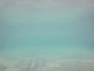 Voyeurcam-casa-salsa-pool-1  live sex cam