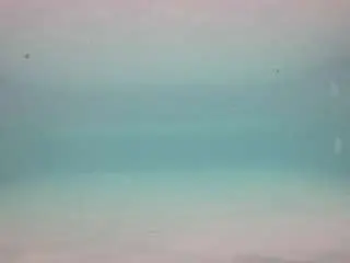 Voyeurcam-casa-salsa-pool-1  live sex cam