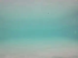 Voyeurcam-casa-salsa-pool-1  live sex cam