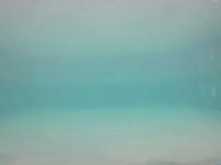 Voyeurcam-casa-salsa-pool-1  live sex cam