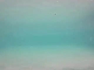 Voyeurcam-casa-salsa-pool-1  live sex cam