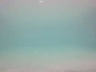 Voyeurcam-casa-salsa-pool-1  live sex cam