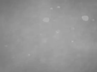 Voyeurcam-casa-salsa-pool-1  live sex cam