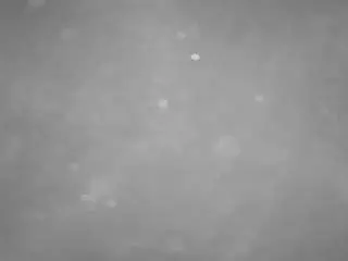 Voyeurcam-casa-salsa-pool-1  live sex cam