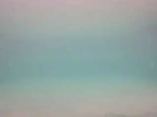 Voyeurcam-casa-salsa-pool-1  live sex cam