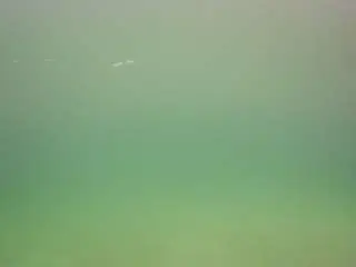 Voyeurcam-casa-salsa-pool-1  live sex cam