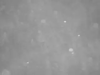 Voyeurcam-casa-salsa-pool-1  live sex cam