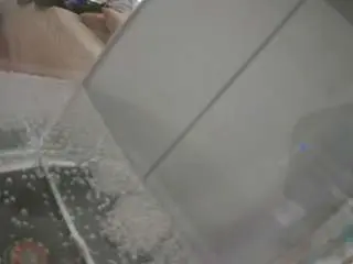 Voyeurcam-julmodels-reallife-2  live sex cam