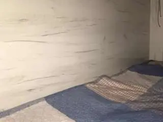 Traciefruman  live sex cam