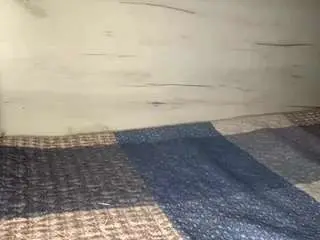 Traciefruman  live sex cam