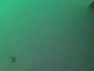 Alluringbarbiee  live sex cam