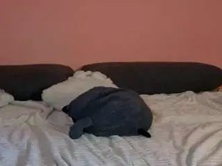Katusha008  live sex cam