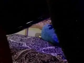 Velvetnyx  live sex cam