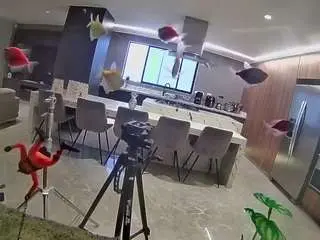 Voyeurcam-casa-salsa-fishtank  live sex cam