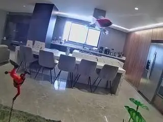 Voyeurcam-casa-salsa-fishtank  live sex cam