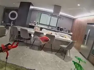 Voyeurcam-casa-salsa-fishtank  live sex cam