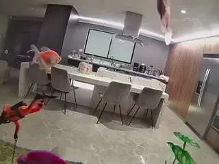 Voyeurcam-casa-salsa-fishtank  live sex cam