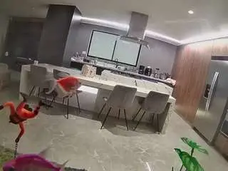 Voyeurcam-casa-salsa-fishtank  live sex cam